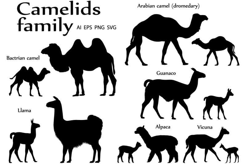 camelids-family-silhouette