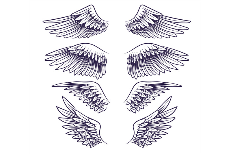 hand-drawn-wing-sketch-angel-wings-with-feathers-elements-for-logo