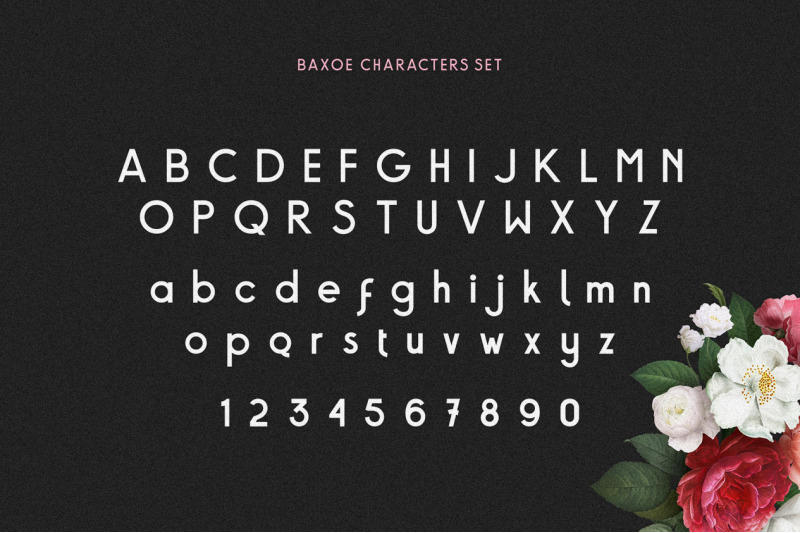 baxoe-elegant-and-fancy-typeface