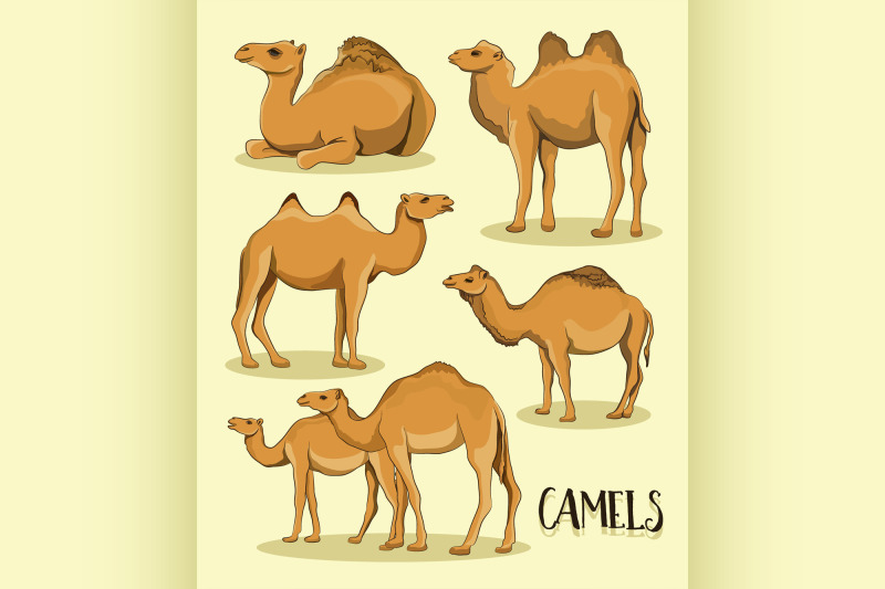 camel-silhouettes-set