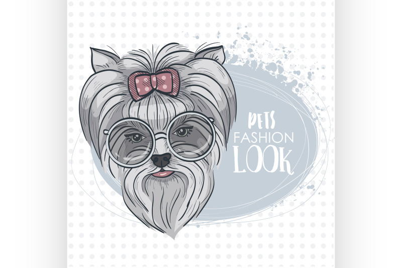 vector-pets-fashion-look