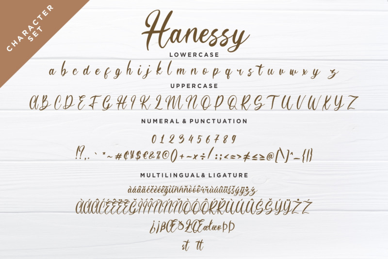 hanessy-feminine-script