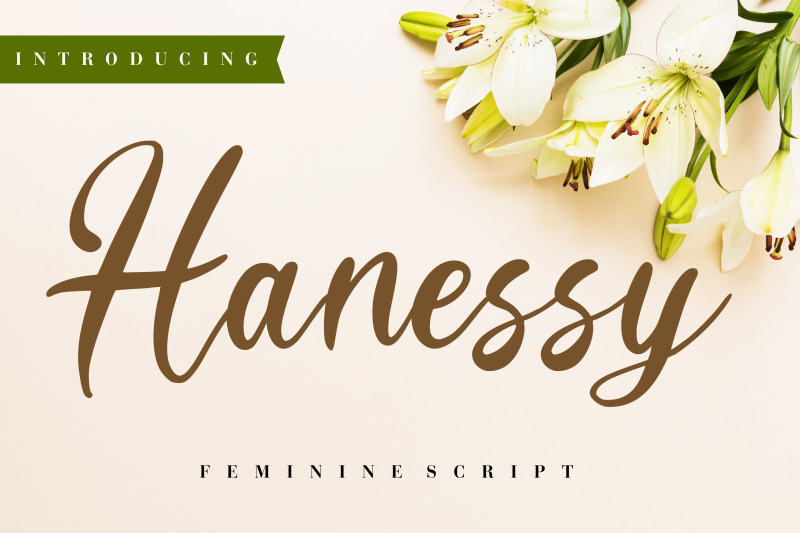 hanessy-feminine-script