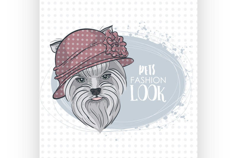 vector-pets-fashion-look