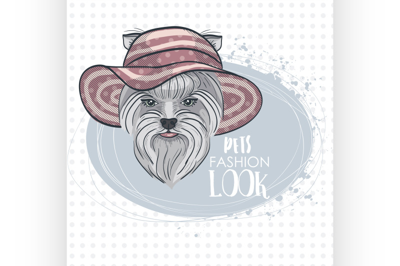 vector-pets-fashion-look