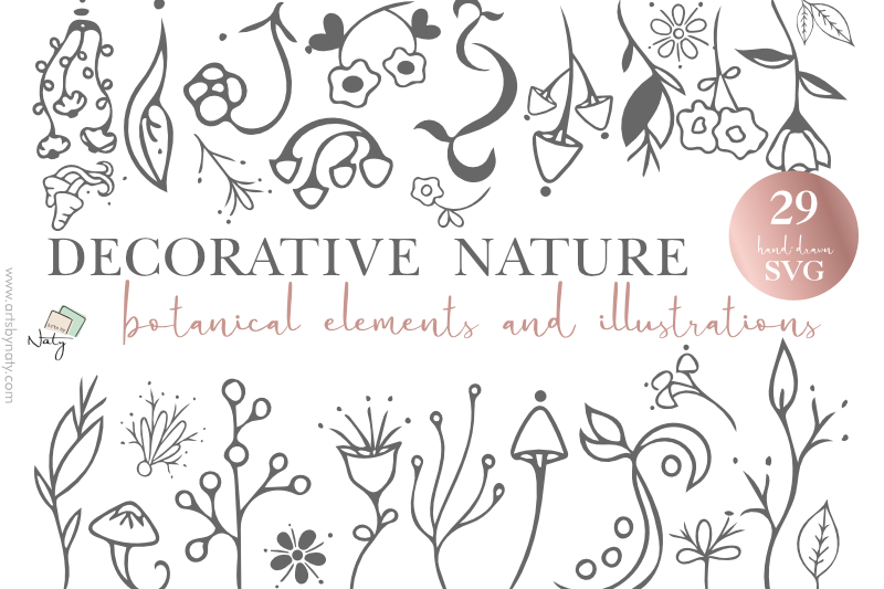 decorative-nature-botanical-elements-illustrations