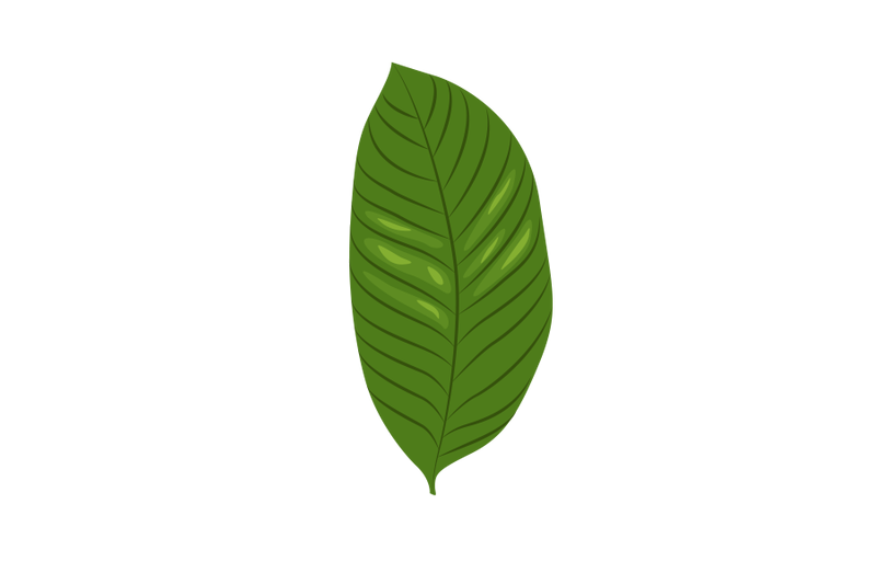 walnut-leaf