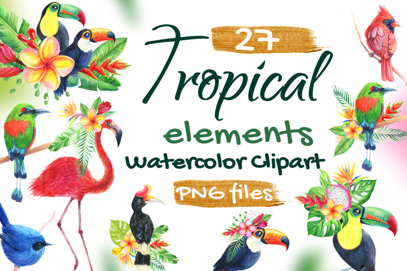 birds-tropical-watercolor-set-clip-art-flamingo-toucan