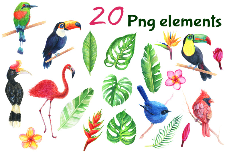 birds-tropical-watercolor-set-clip-art-flamingo-toucan