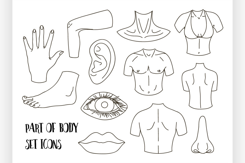 body-parts-icons-set