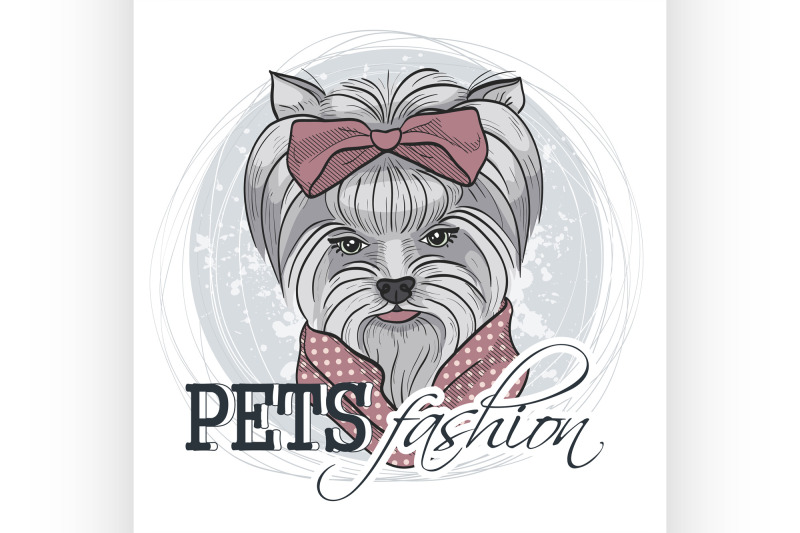 vector-pets-fashion-look