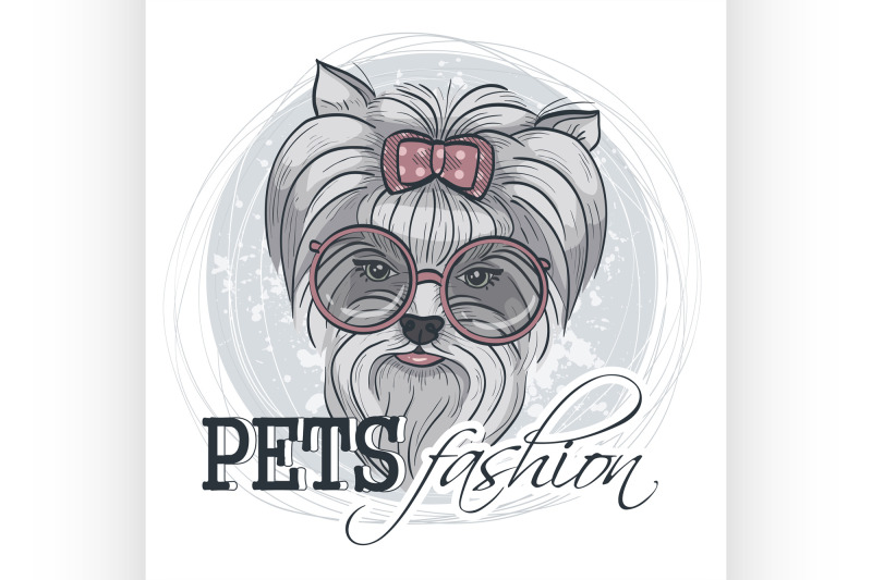 vector-pets-fashion-look