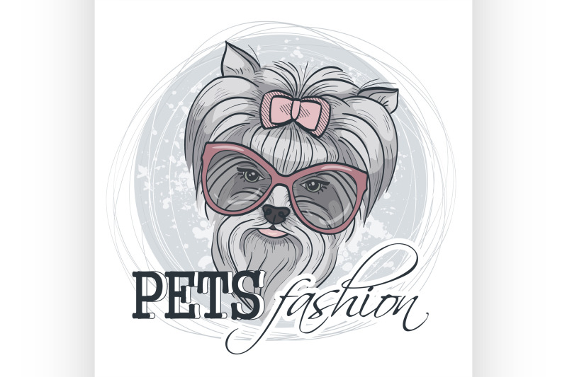 vector-pets-fashion-look