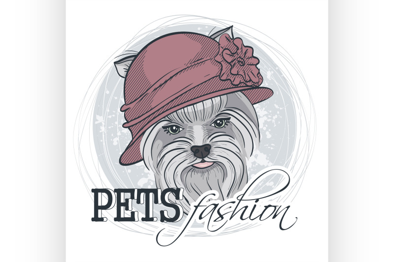 vector-pets-fashion-look