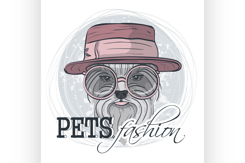 vector-pets-fashion-look