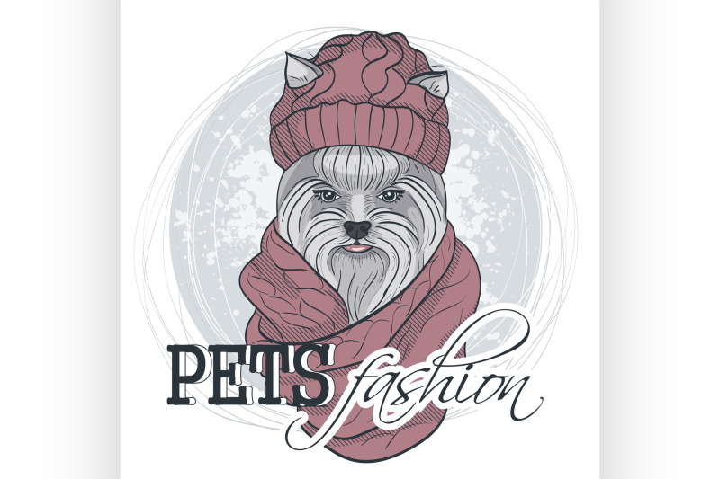 vector-pets-fashion-look