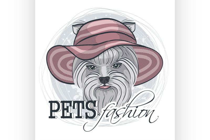 vector-pets-fashion-look