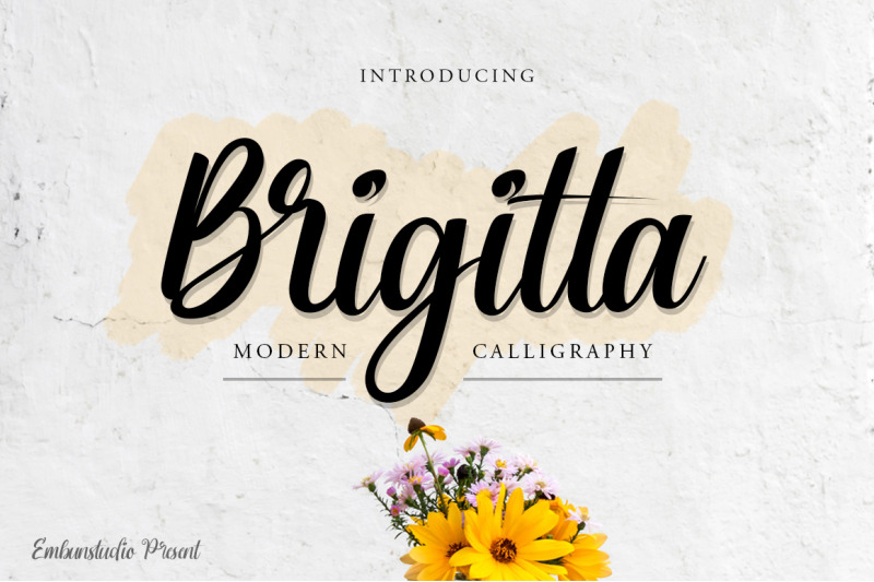 brigitta-script