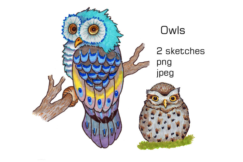 doodle-owls-hand-drawn-sketch