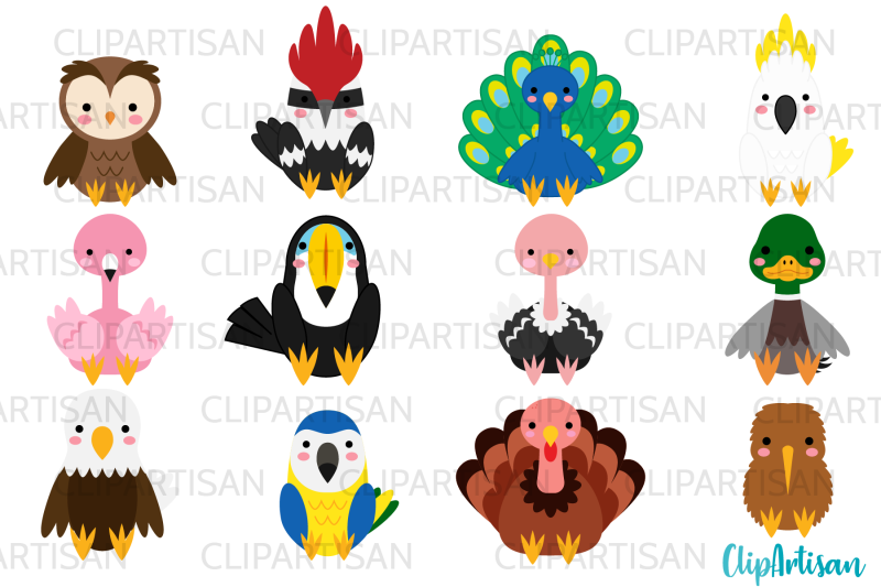 birds-clip-art-tropical-birds-cockatoo-parrot-owl