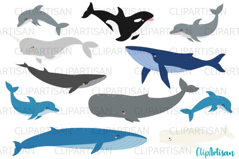 whales-and-dolphins-clip-art