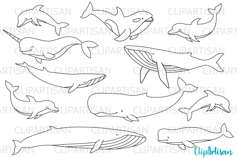 whales-and-dolphins-digital-stamps-svg-eps