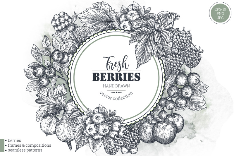 berries-vector-collection
