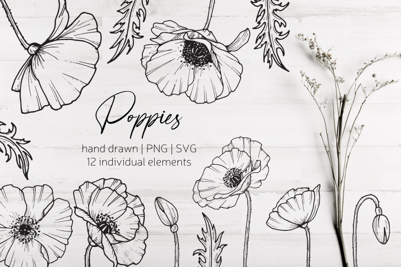 poppy-flowers-and-leaves-svg-png-hand-drawn-doodle-flowers