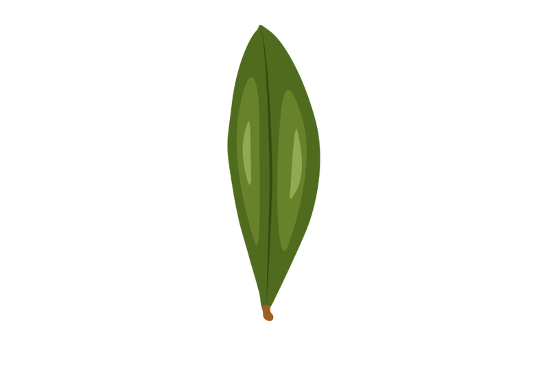 medlar-leaf