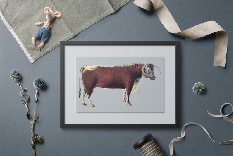 cow-clipart-long-horned