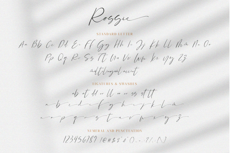 rossie-modern-script-font
