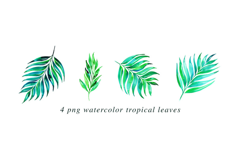 22-tropical-watercolor-illustrations