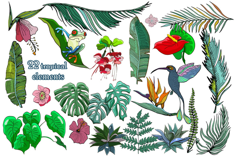 tropical-plants-and-animals
