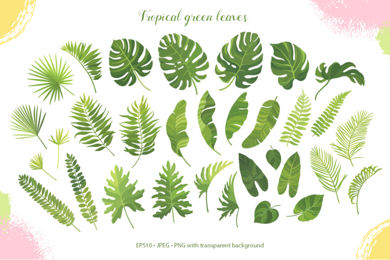 tropical-vector-graphic-set