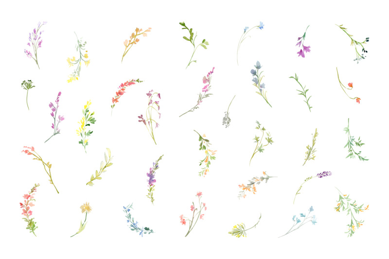 watercolor-wildflowers-field-meadow-flowers-png