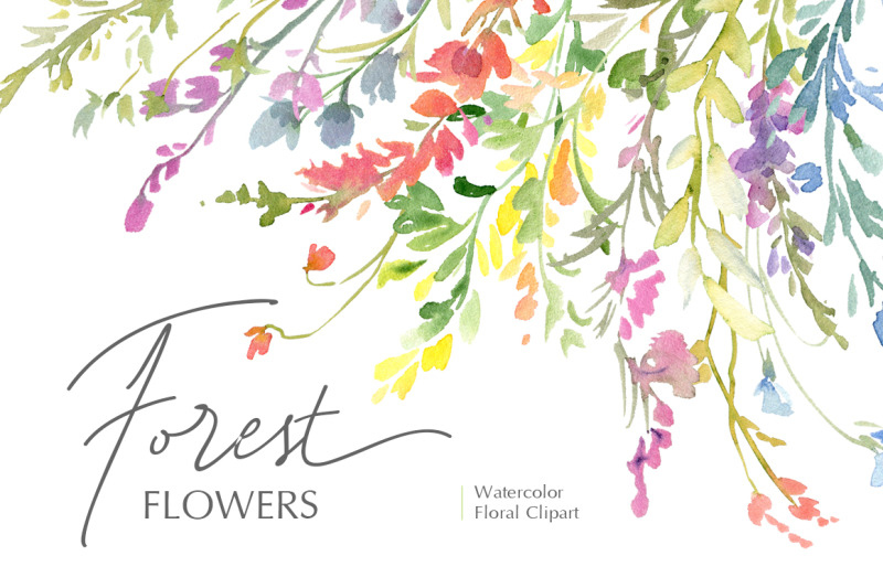 watercolor-wildflowers-field-meadow-flowers-png