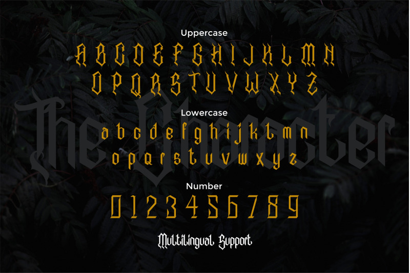Alabasta The Blackletter Font By Typotopia Thehungryjpeg Com