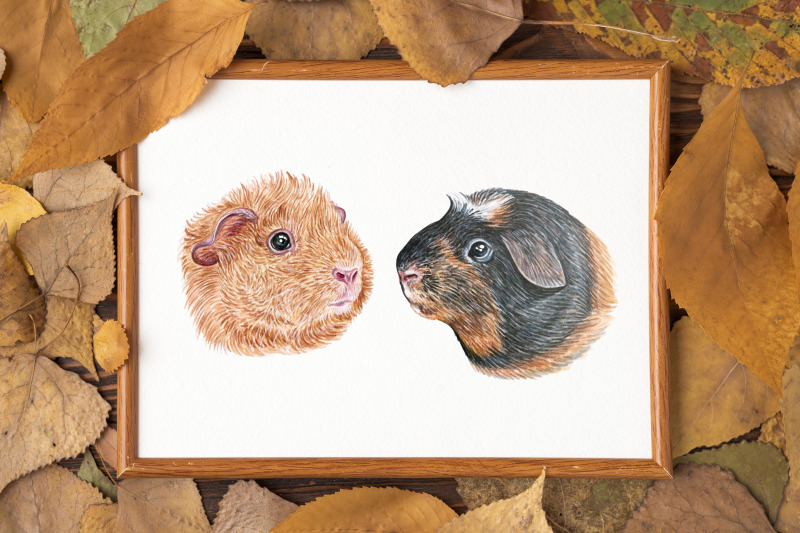 watercolor-set-pet-illustrations-cute-12-pets