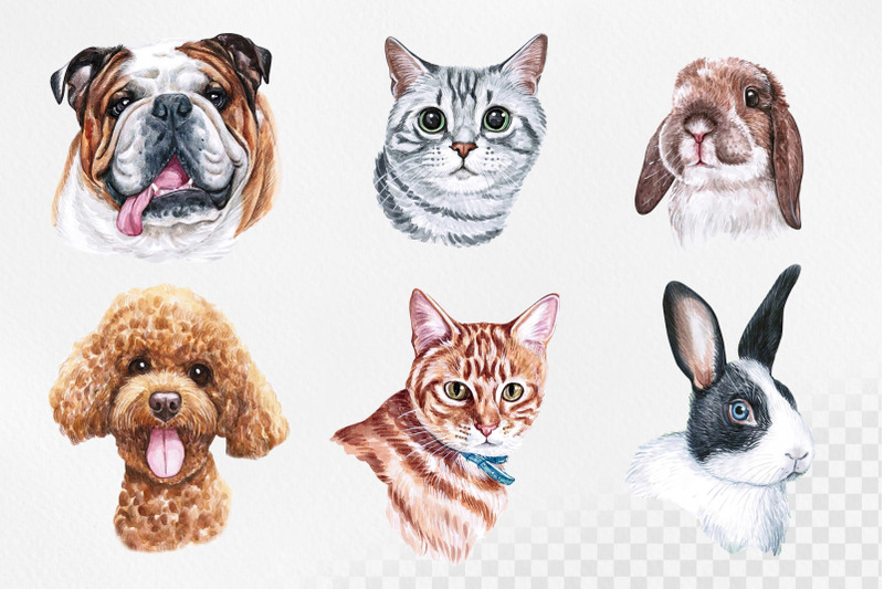 watercolor-set-pet-illustrations-cute-12-pets