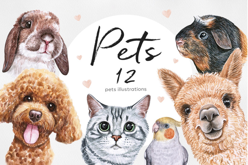 watercolor-set-pet-illustrations-cute-12-pets