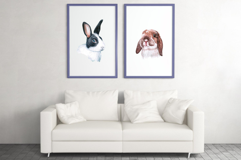 watercolor-set-pet-illustrations-cute-12-pets