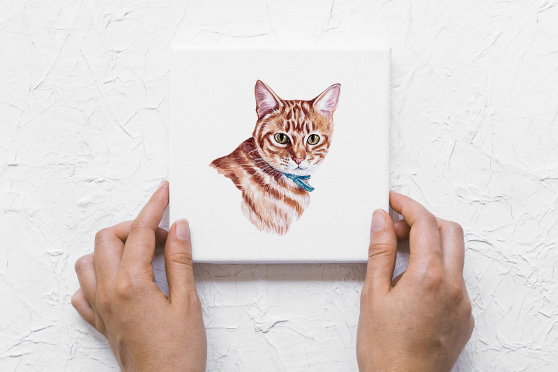 watercolor-set-pet-illustrations-cute-12-pets