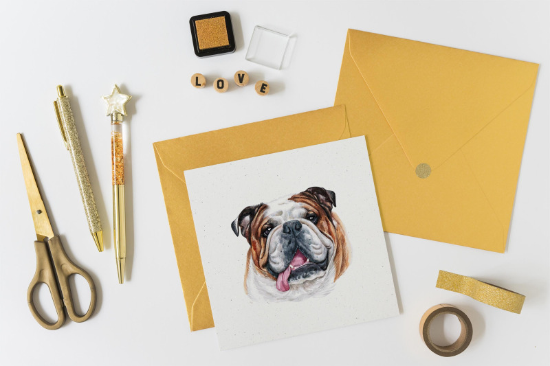 watercolor-set-pet-illustrations-cute-12-pets