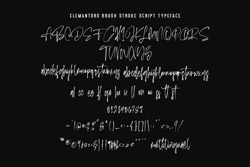elemantors-brush-stroke-script-typeface-alternate