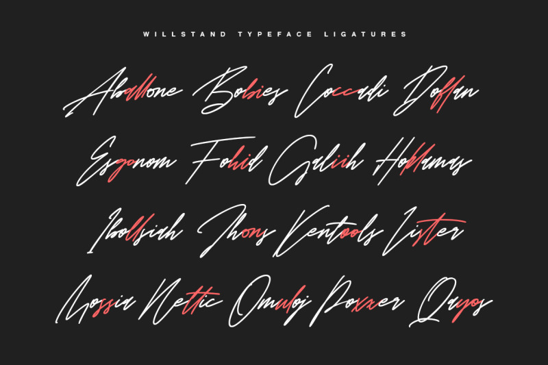 willstand-font-duo-signature-sans-typeface
