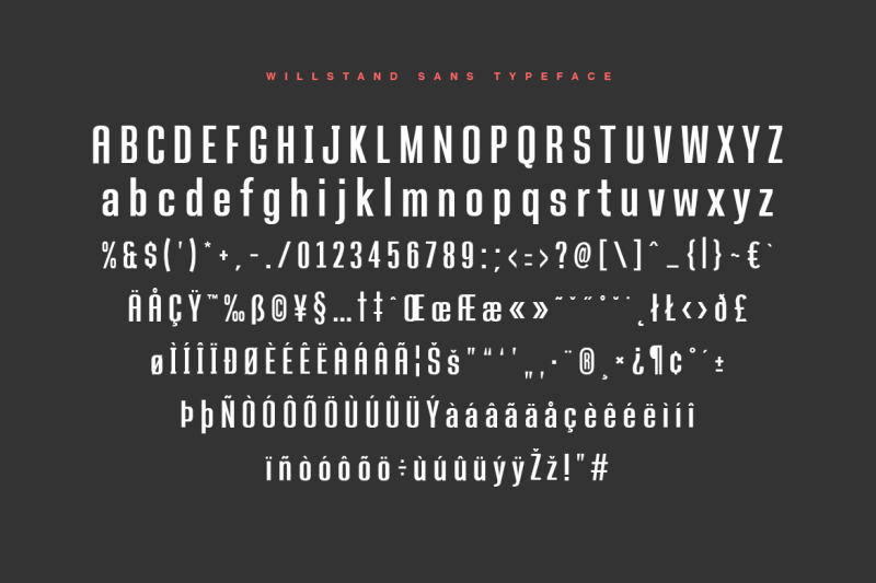 willstand-font-duo-signature-sans-typeface