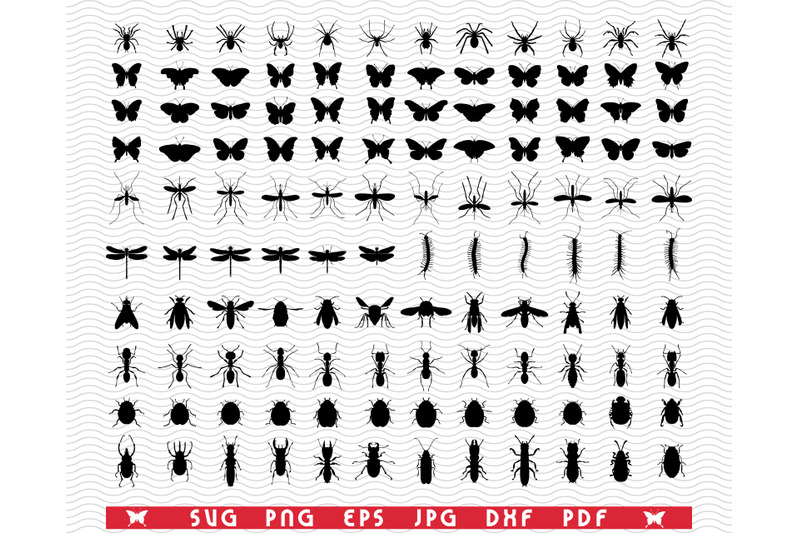 svg-insects-black-silhouette-digital-clipart