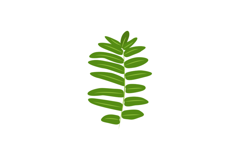 royal-fern-leaf