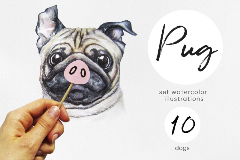 pug-watercolor-dog-set-illustrations-cute-and-funny-10-dog