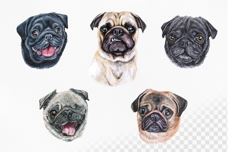 pug-watercolor-dog-set-illustrations-cute-and-funny-10-dog